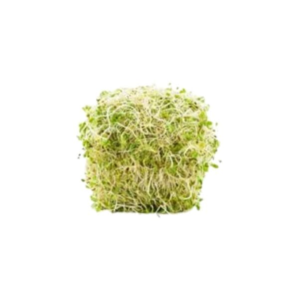 BROTOS DE ALFAFA PCT 500 GR